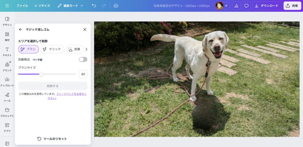 Canva2