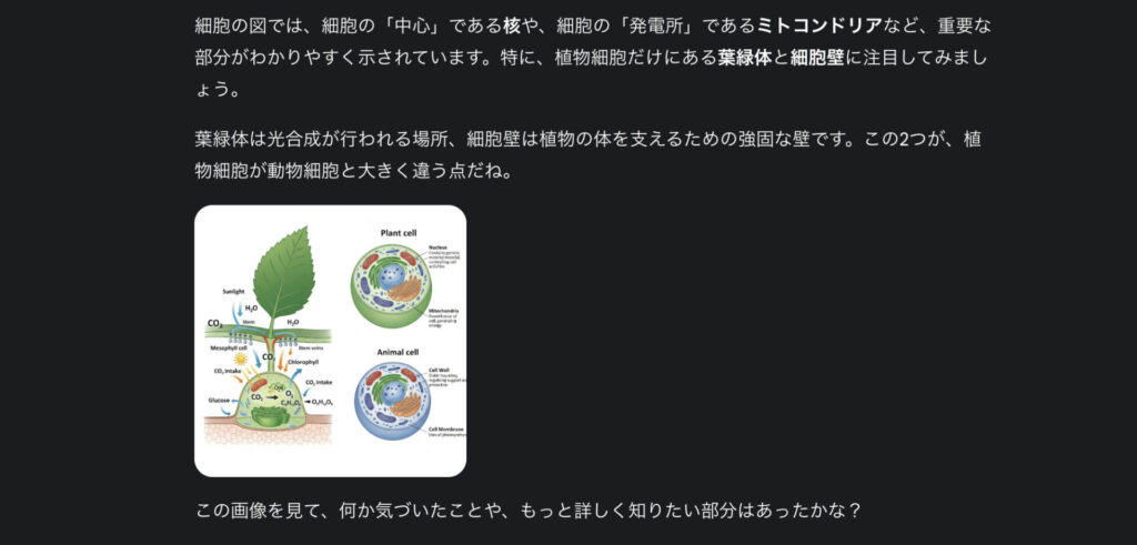光合成